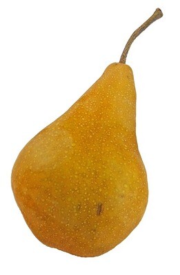 Pears Bosc