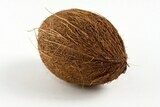 Coconut