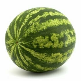 Extra Large Watermelon