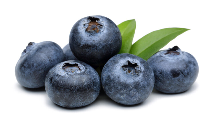 Berries Blueberry Jumbo