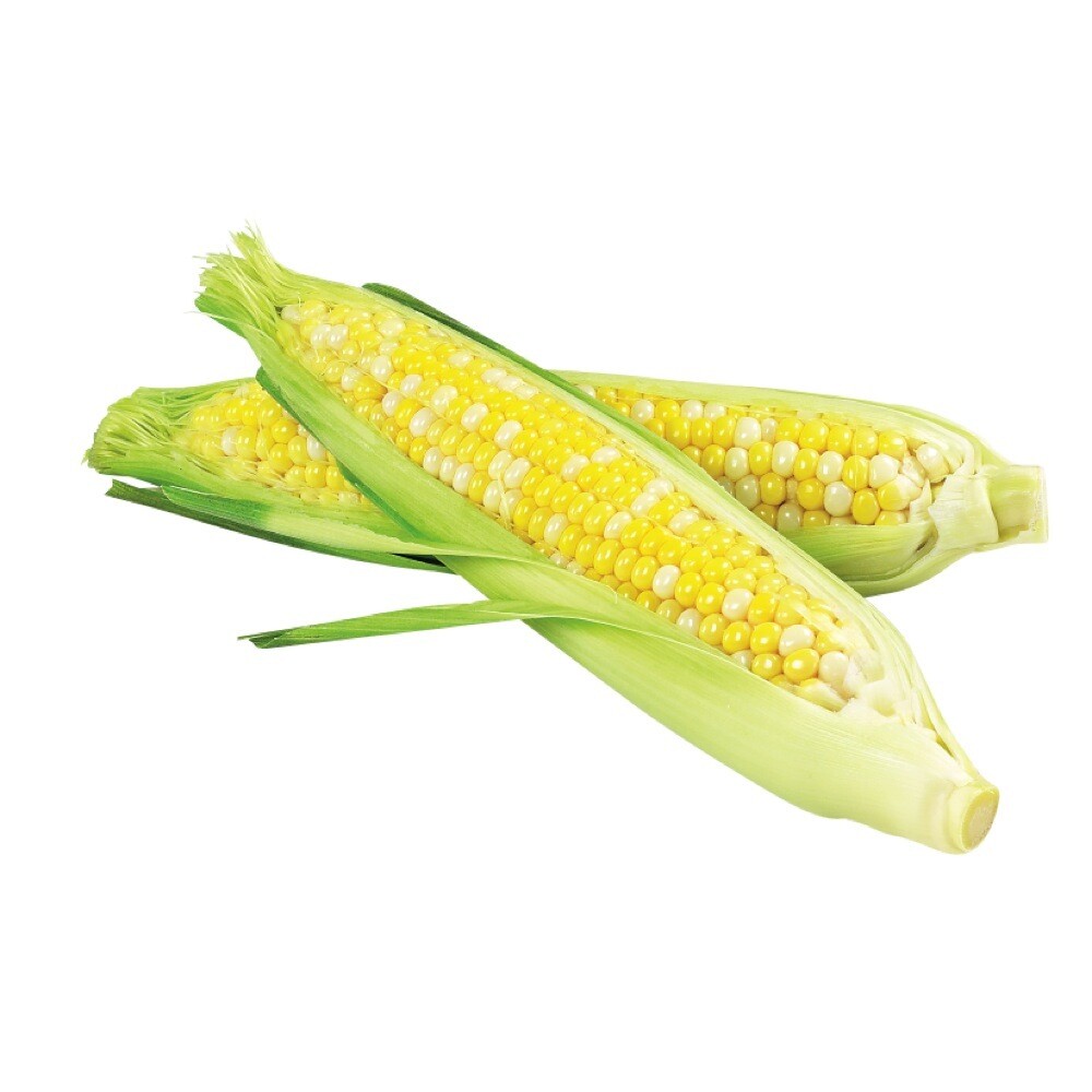 Corn NATIVE