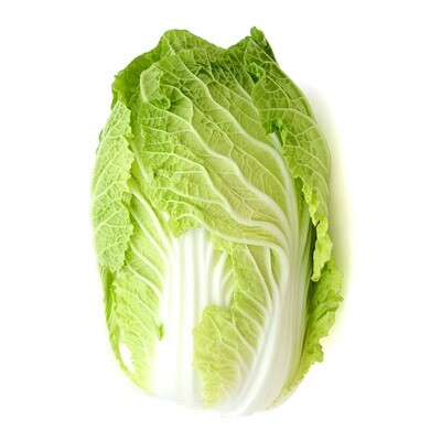 Cabbage Napa