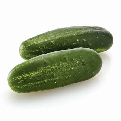 Cucumbers White Spine