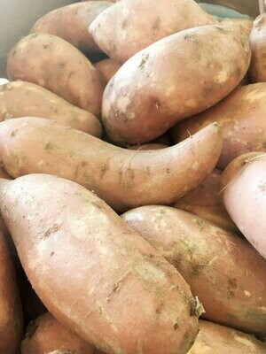 Potatoes Sweet Jumbo