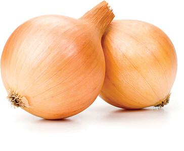 Onions Spanish