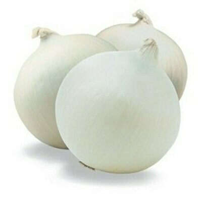 Onions White Spanish