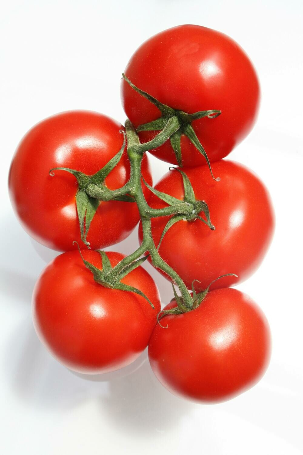 Tomatoes Cluster