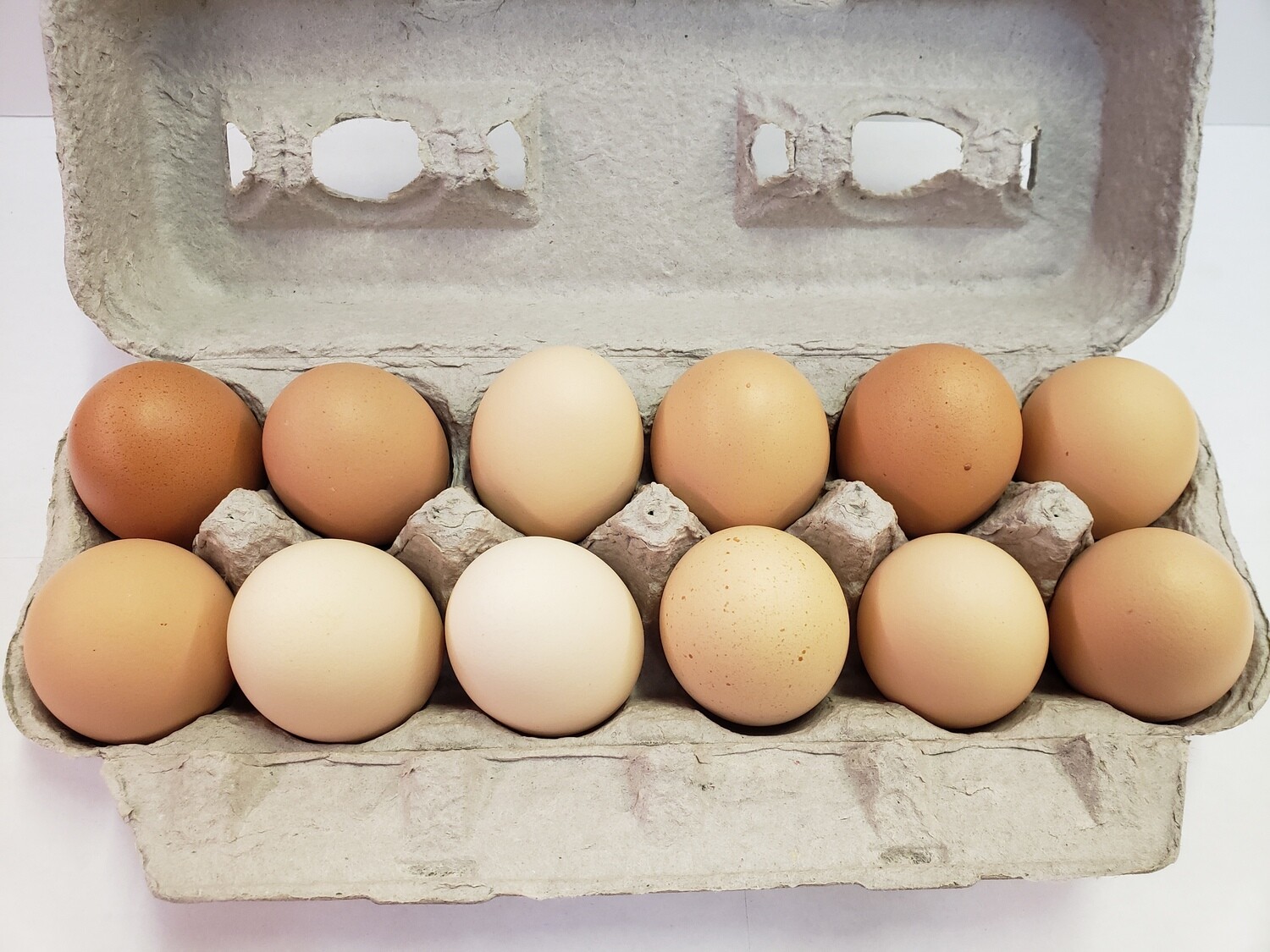 Eggs Free Range