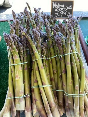 Native Asparagus