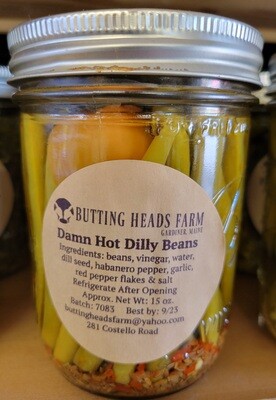 Damn Hot Dilly Beans