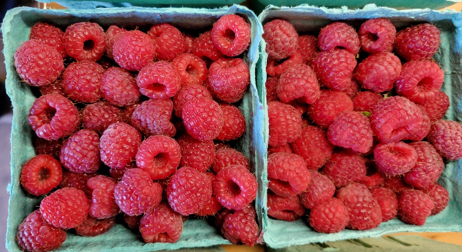 Native Raspberries