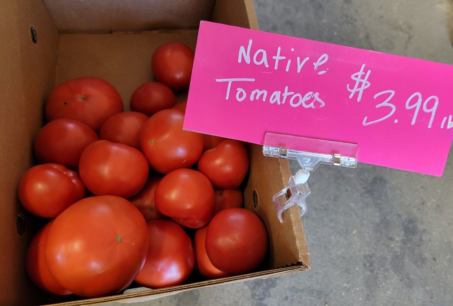 Native Tomatoes