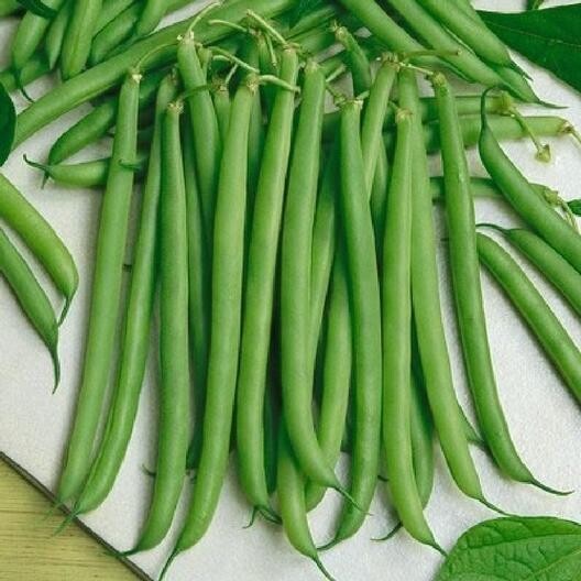 Native Green Beans