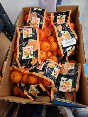 Clementines case