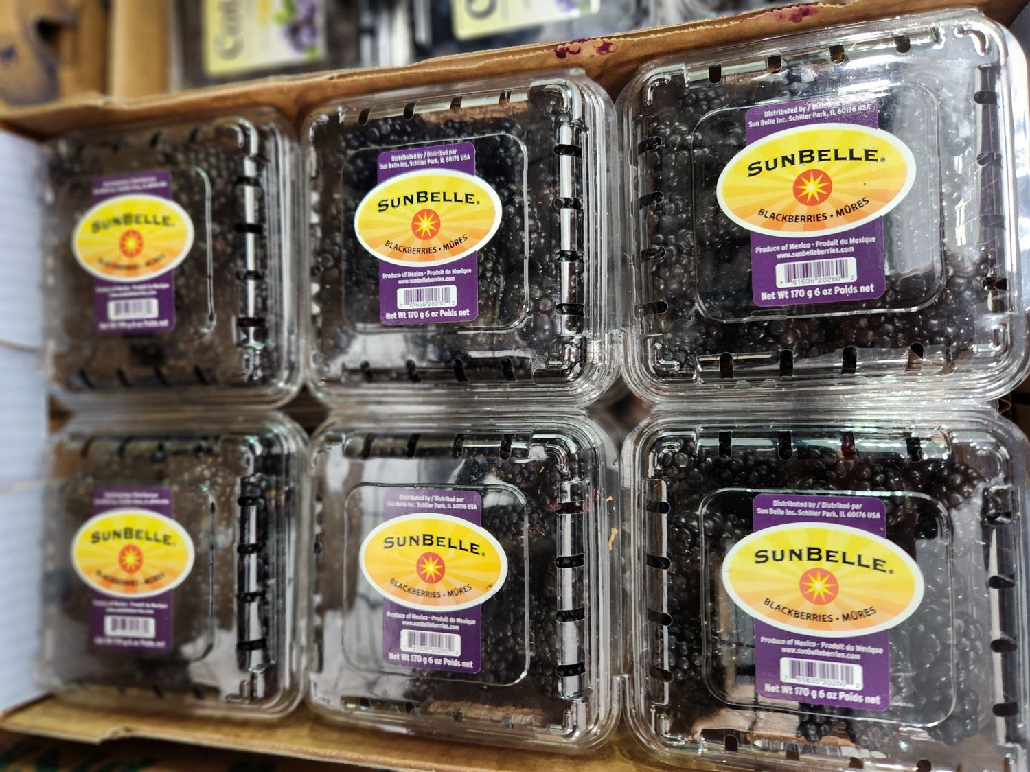 Berries Blackberries case