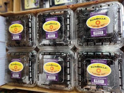 Berries Blackberries case
