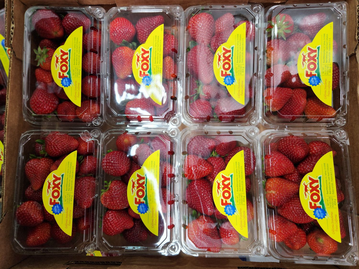 Berries Strawberries case