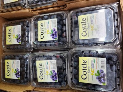 Berries Blueberries Pint case