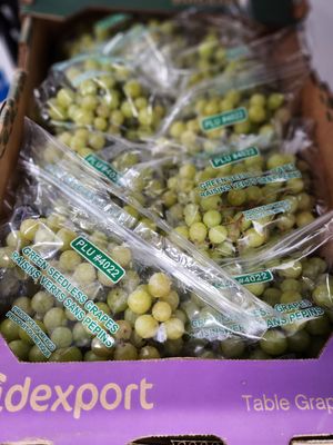 Grapes Green case