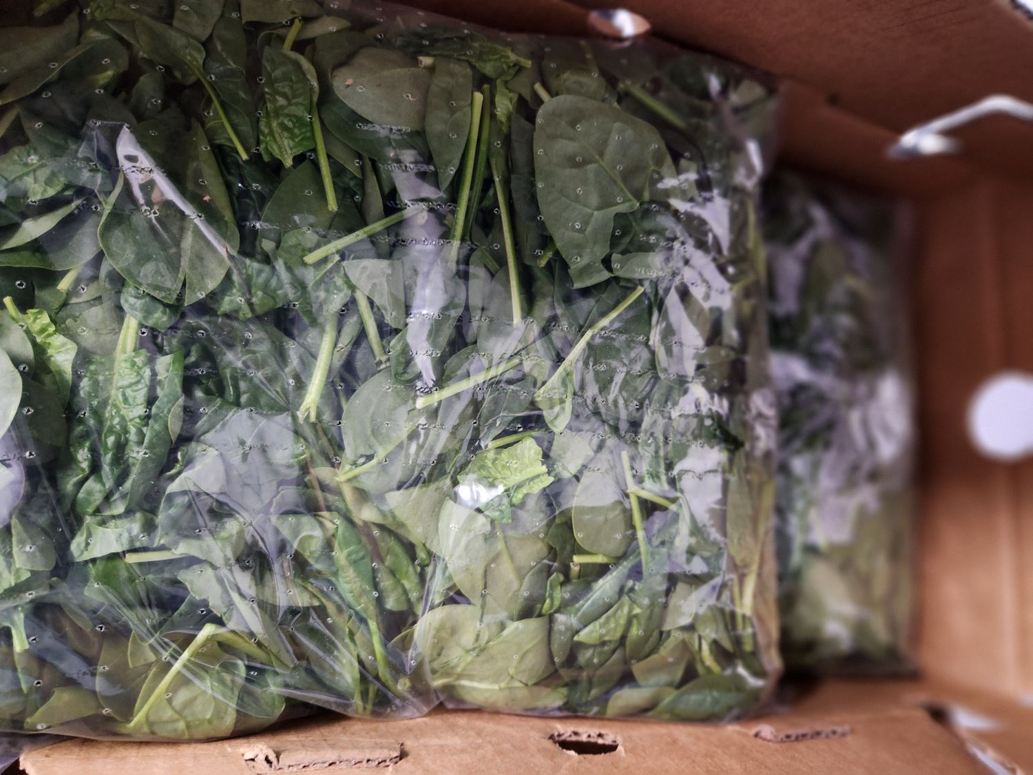 Baby Spinach 2.5 lb case