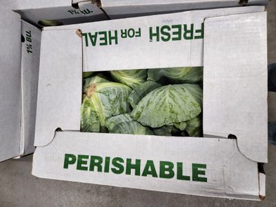Cabbage Box case