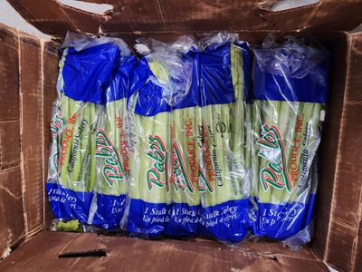 Celery case
