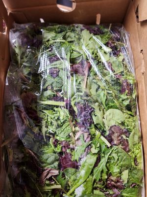 Lettuce Spring Mix 3# case
