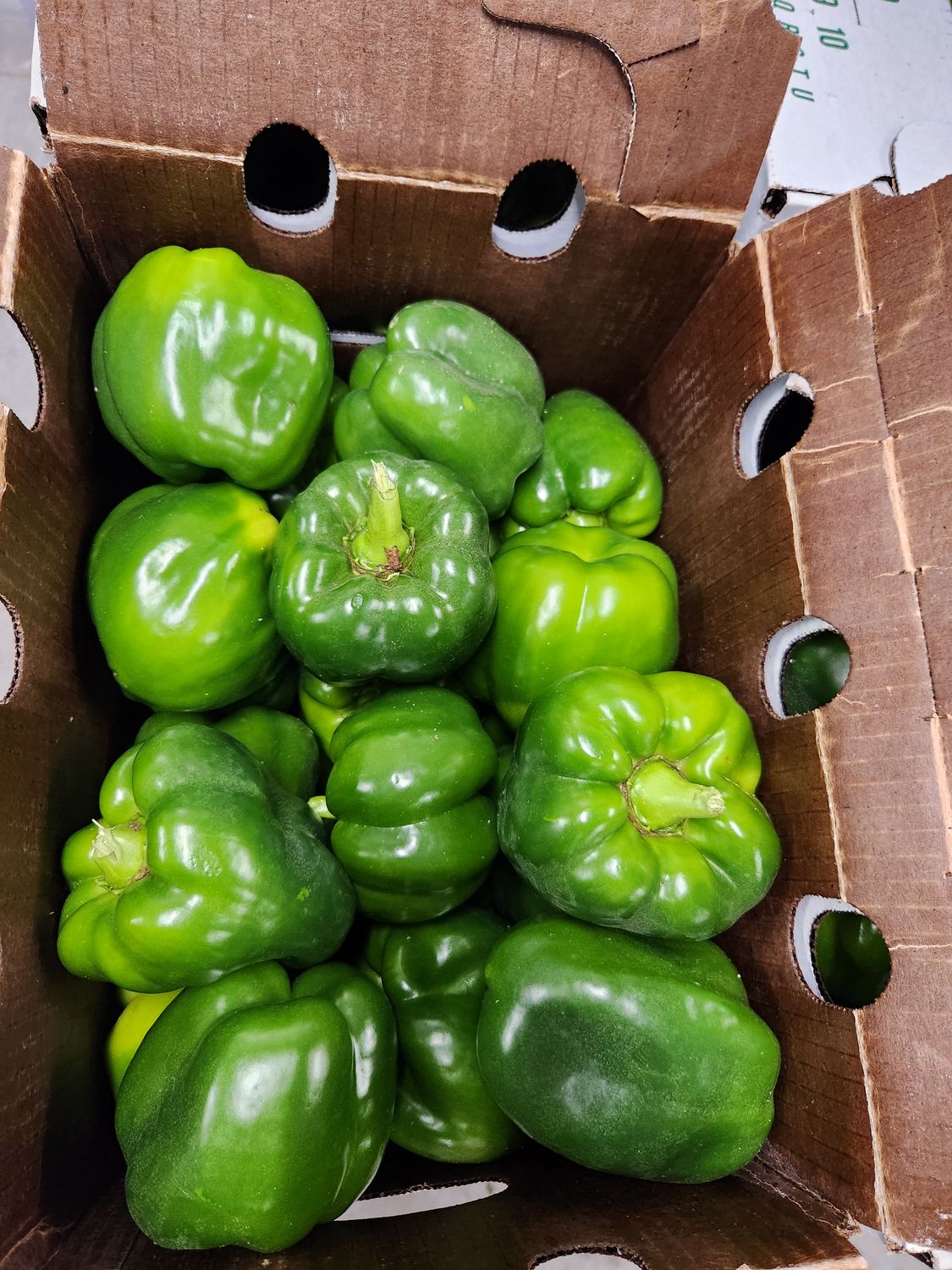 Peppers Green Commercial case