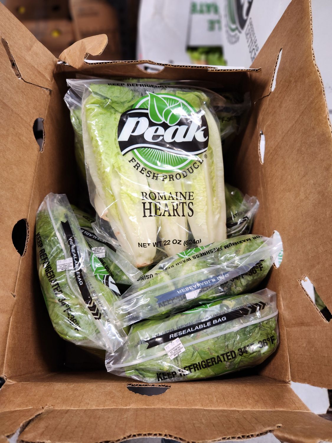 Lettuce Romaine Heart case
