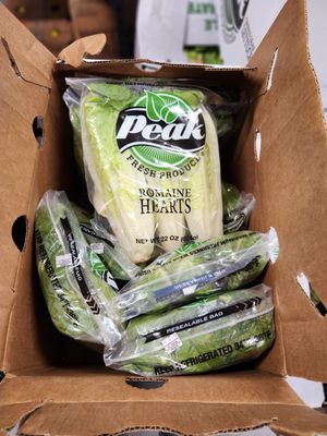 Lettuce Romaine Heart case