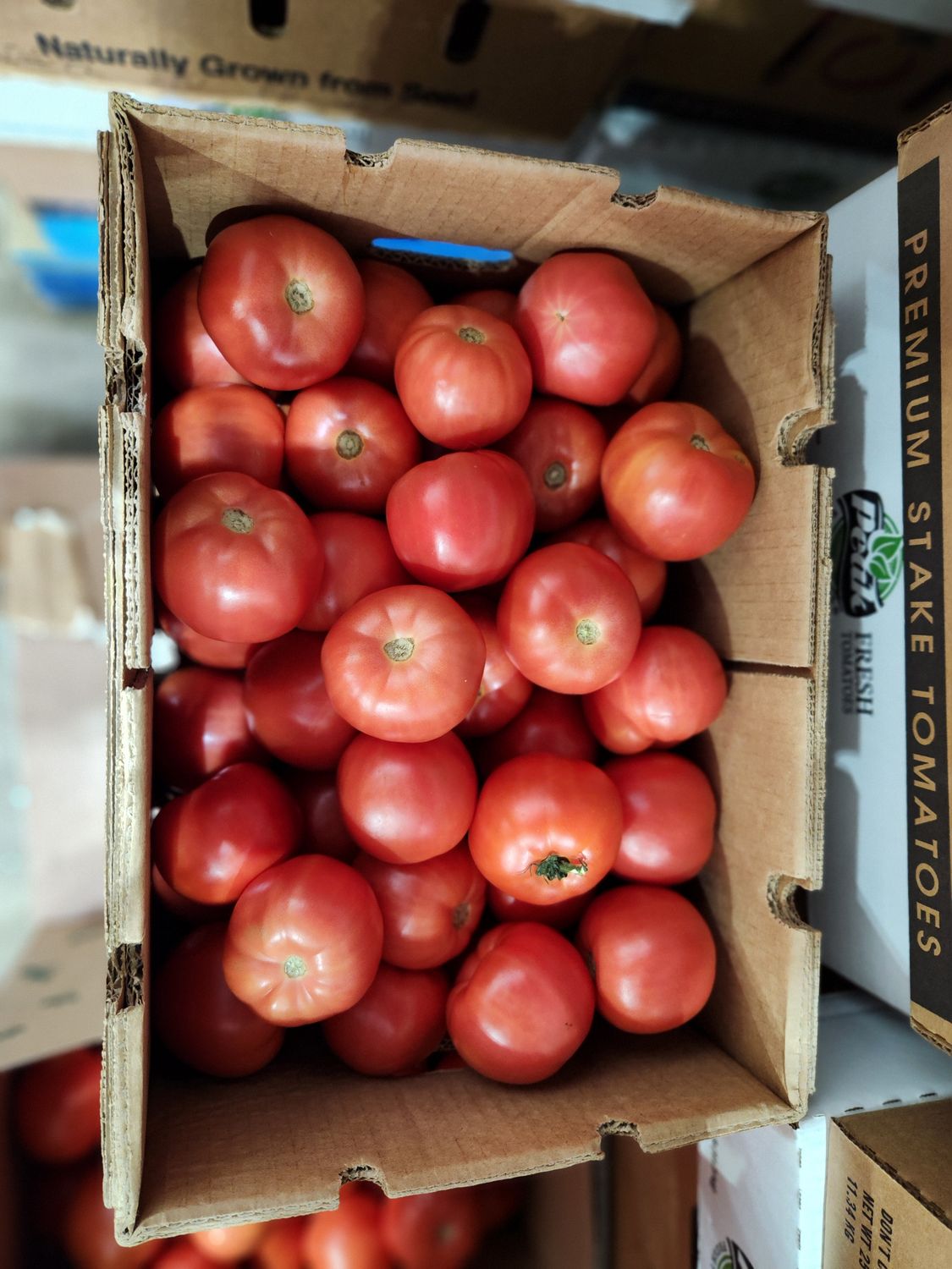 Tomatoes 6x7 case