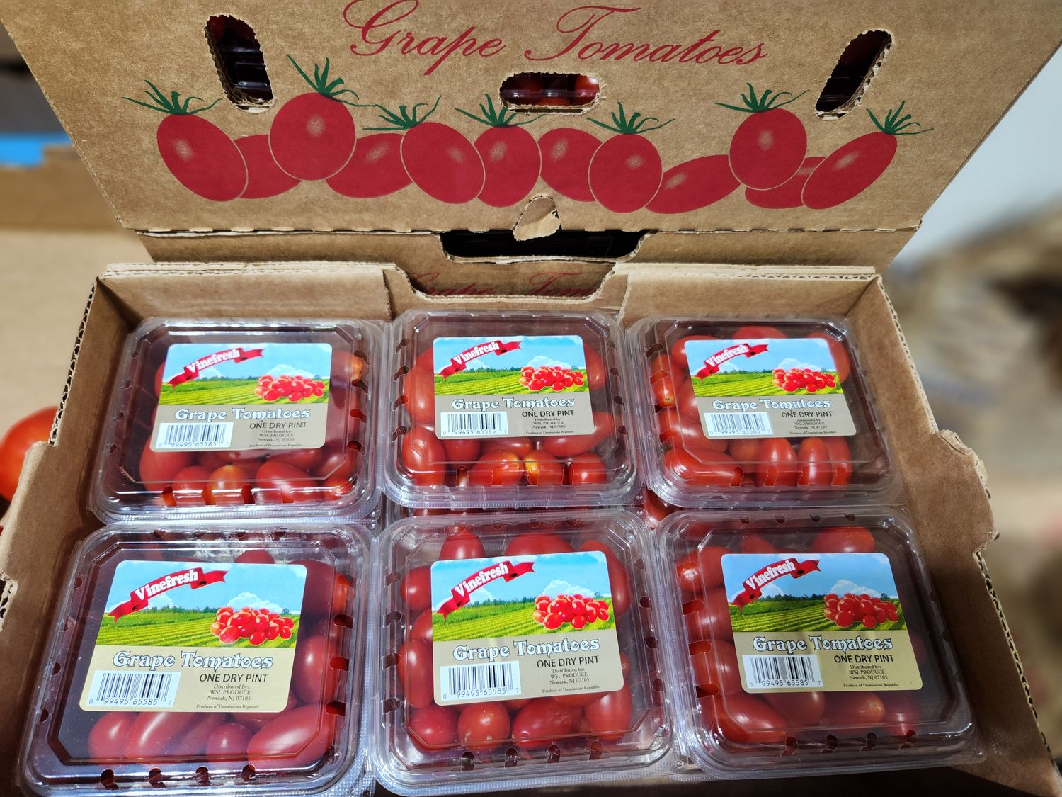 Tomatoes Grape case
