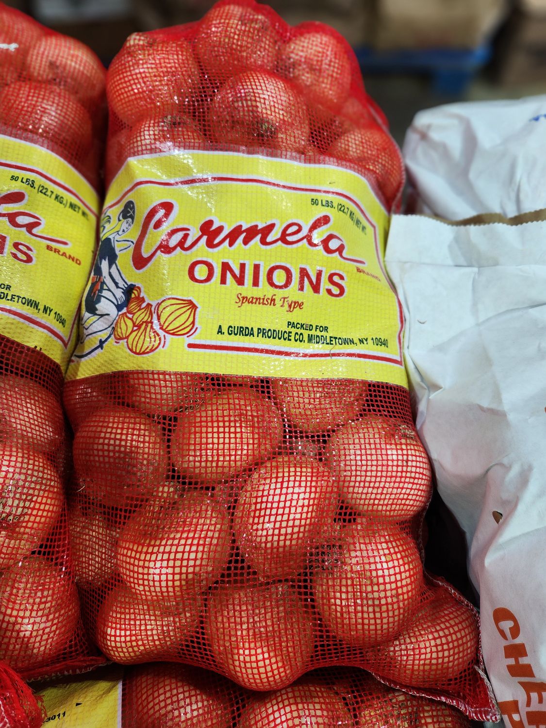 Onions Spanish case