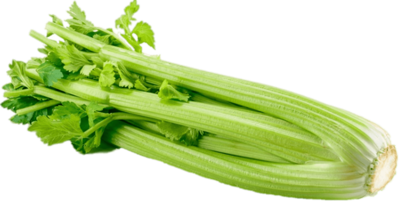 Celery