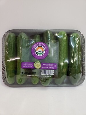 Cucumbers Mini Persian