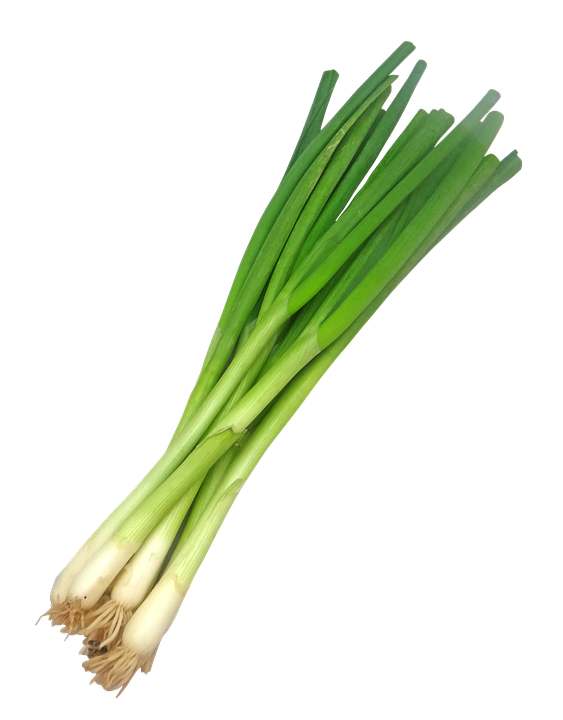 Scallions