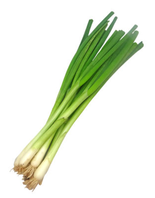 Scallions