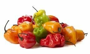 Peppers Habanero