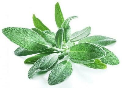 Herb Sage