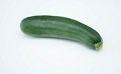 Squash Zucchini NATIVE