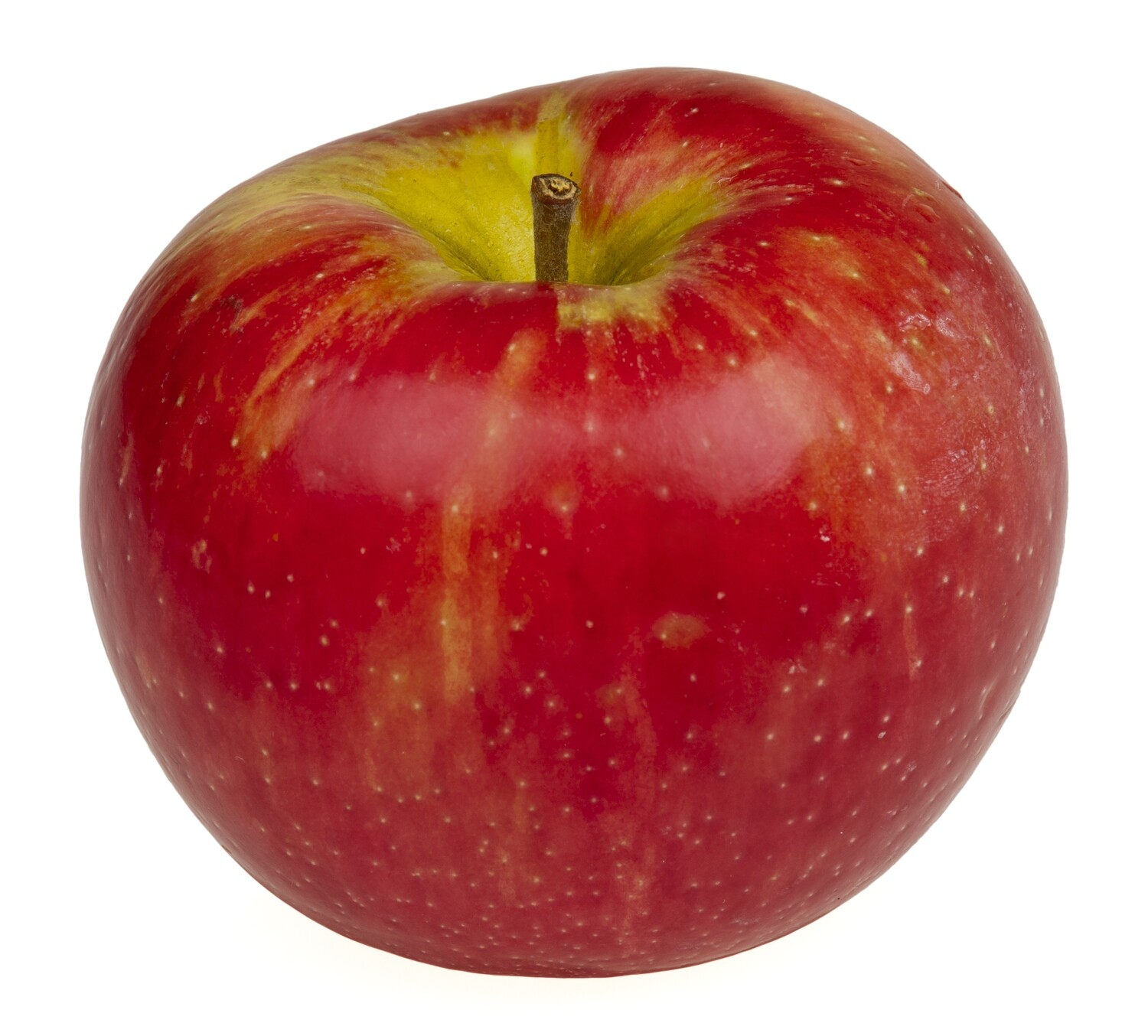 Apples Honey Crisp