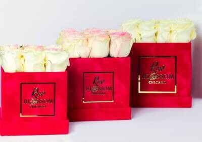 Mother's Day Square Box - Fresh Roses RBC