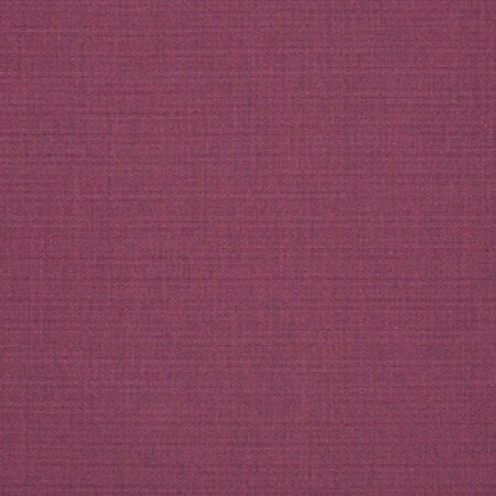 CANVAS IRIS