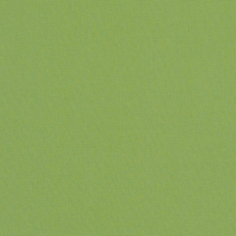 CANVAS GINKGO