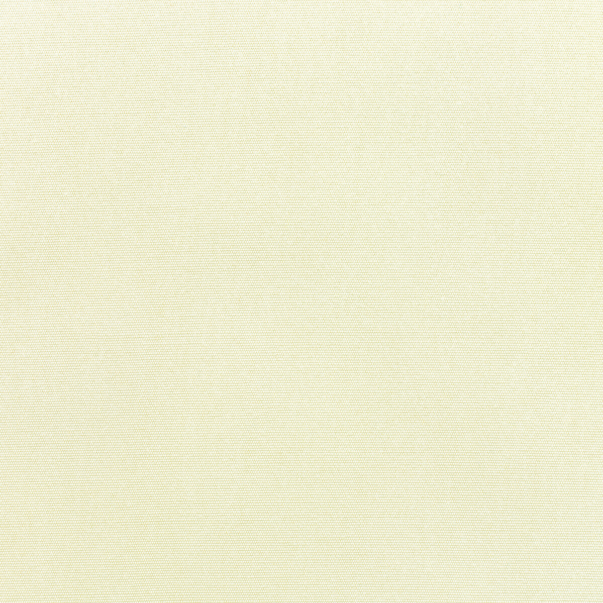 CANVAS NATURAL