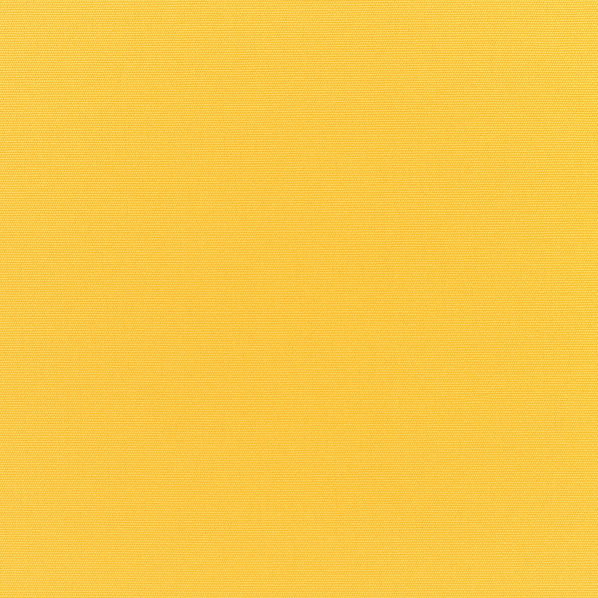 CANVAS SUNFLOWER