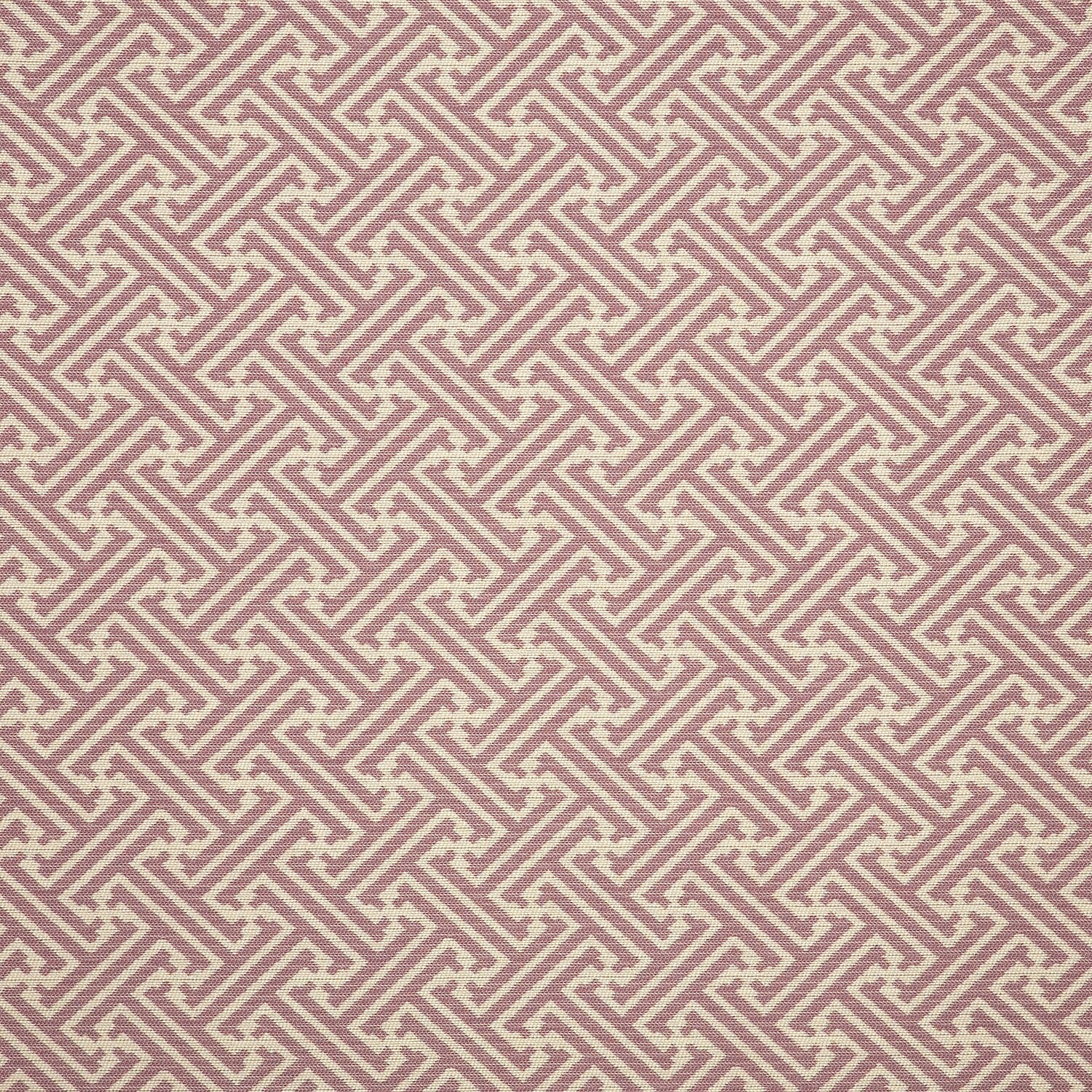 MEANDER LILAC
