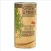 Whitebark Pine Tree Grow Kit