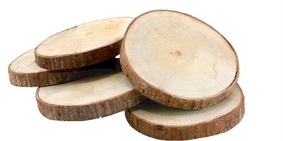Coasters. Salvaged Tree Branch, Set of 6 Coasters. Salvaged Tree Branch, Set of 6