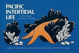 pacific intertidal life